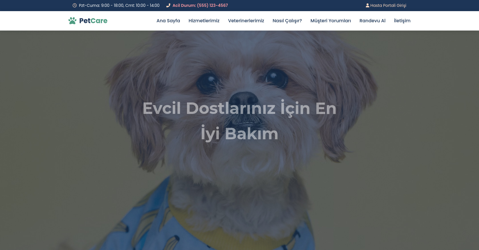 Mete'nin bir kodu 