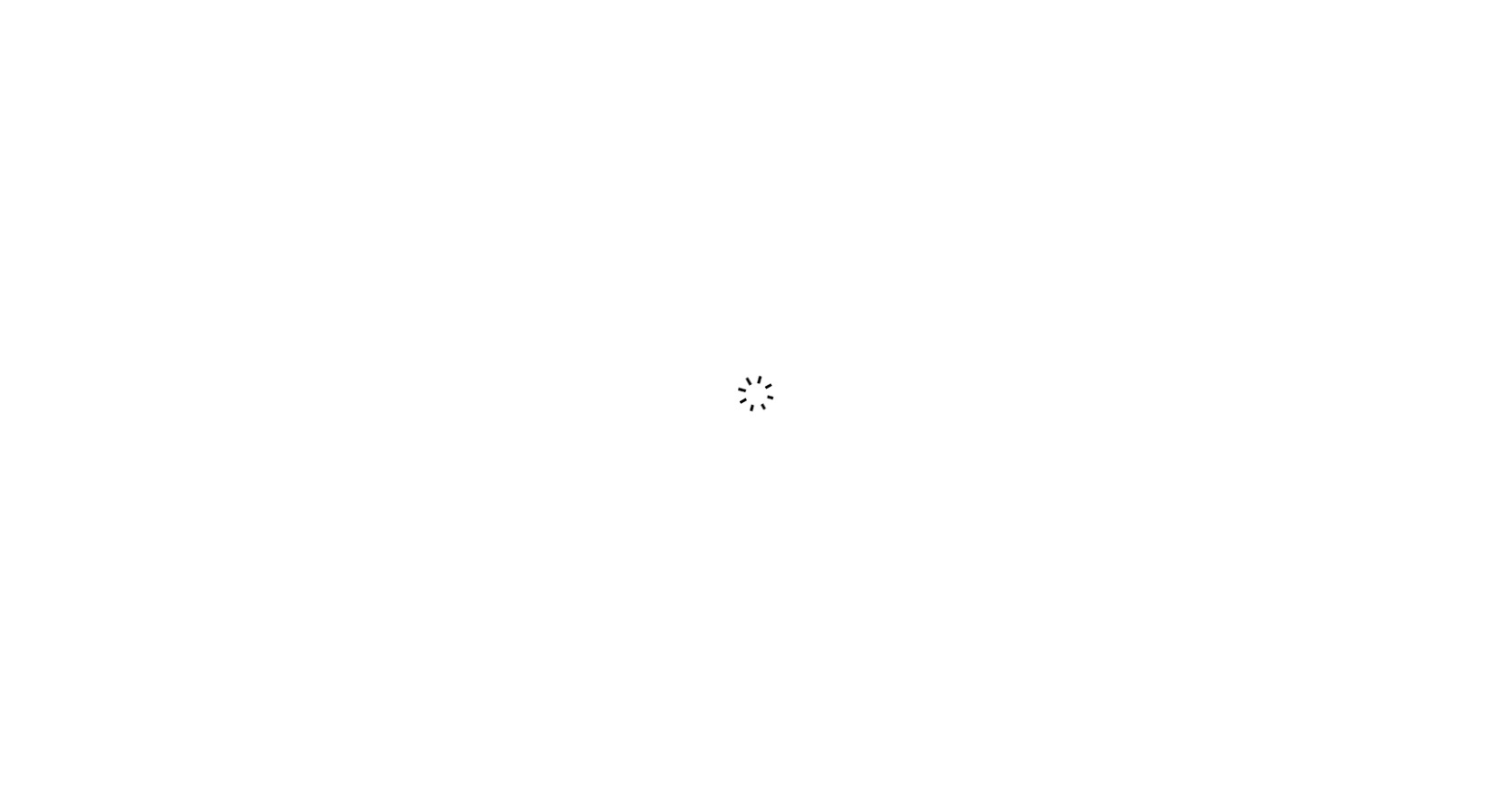 loading icon 4