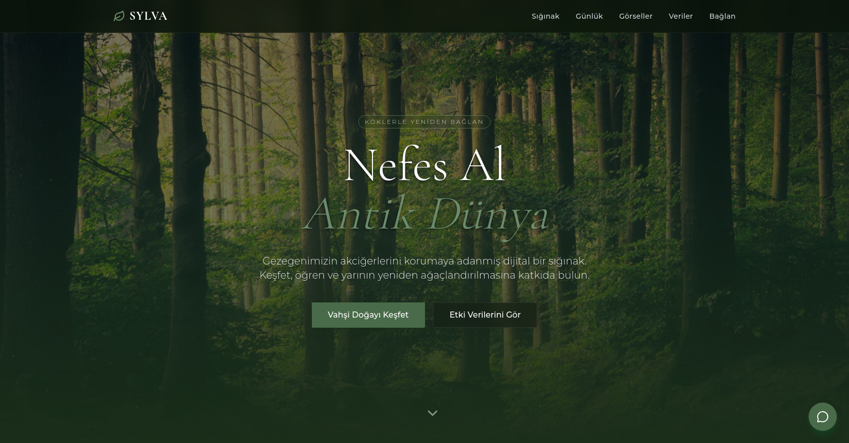 Sylva: Nature Experience HTML Template with Tailwind CSS