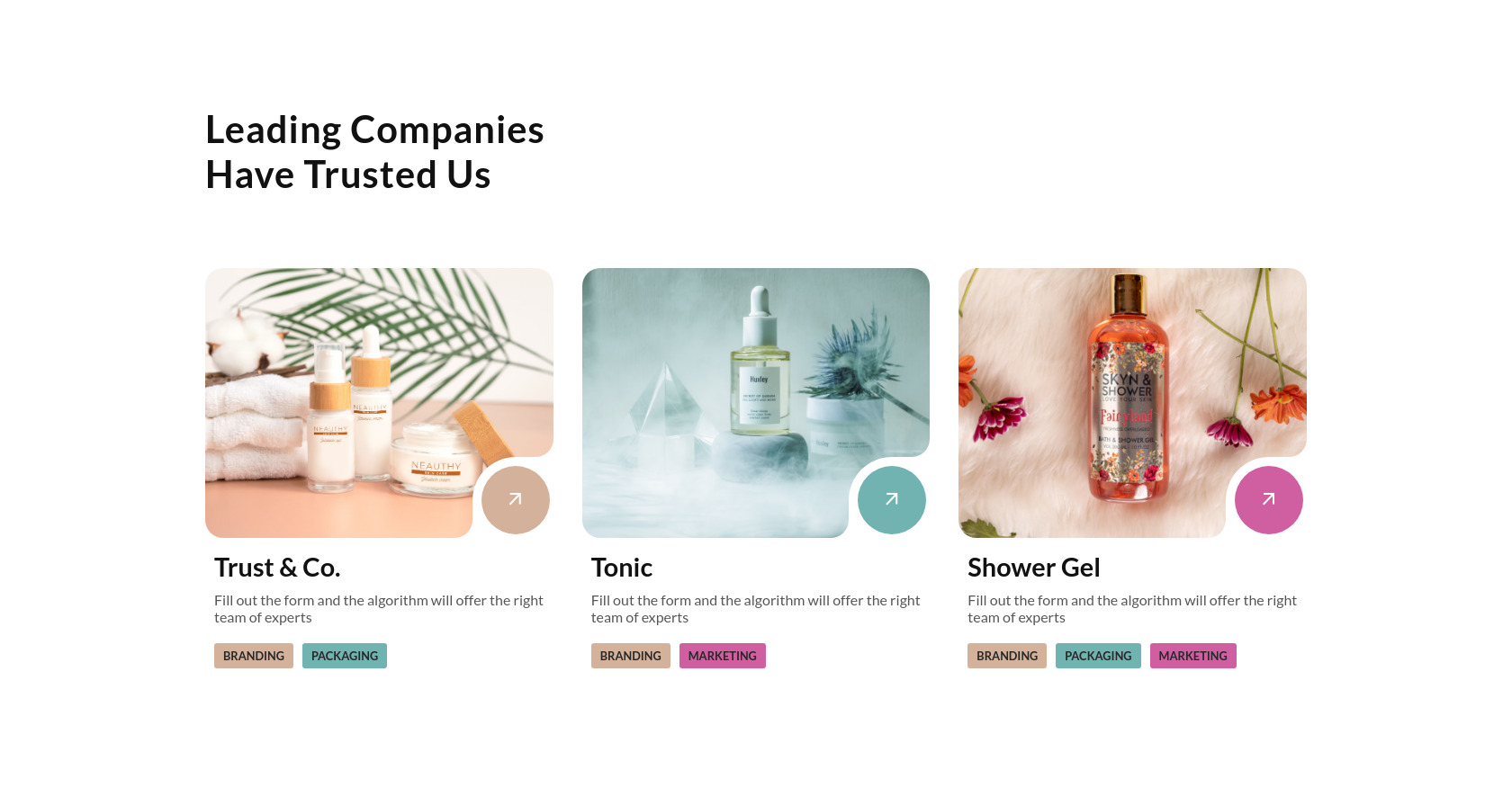 Company Card List with Branding and Marketing