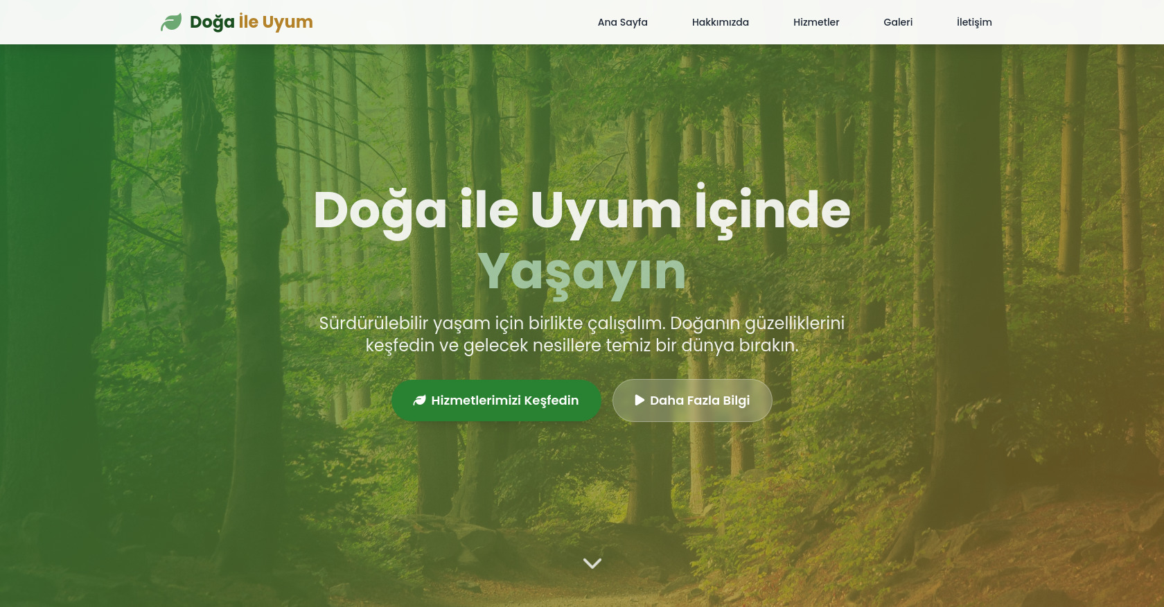 Mete'nin bir kodu 